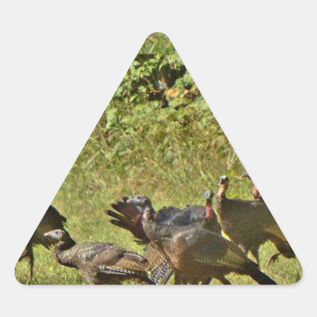Wild Turkey, Camouflage colours Triangle Sticker (Front)