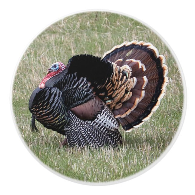 Wild Turkey Ceramic Knob (Front)