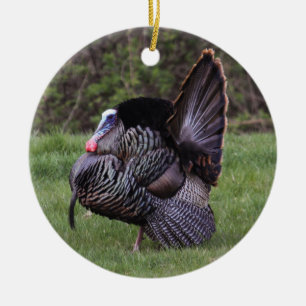Wild Turkey Ceramic Tree Decoration
