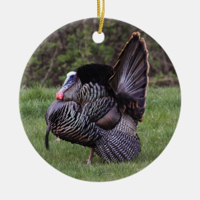 Wild Turkey Ceramic Tree Decoration (Front)