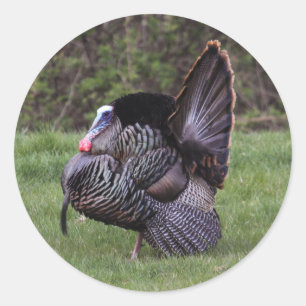 Wild Turkey Classic Round Sticker