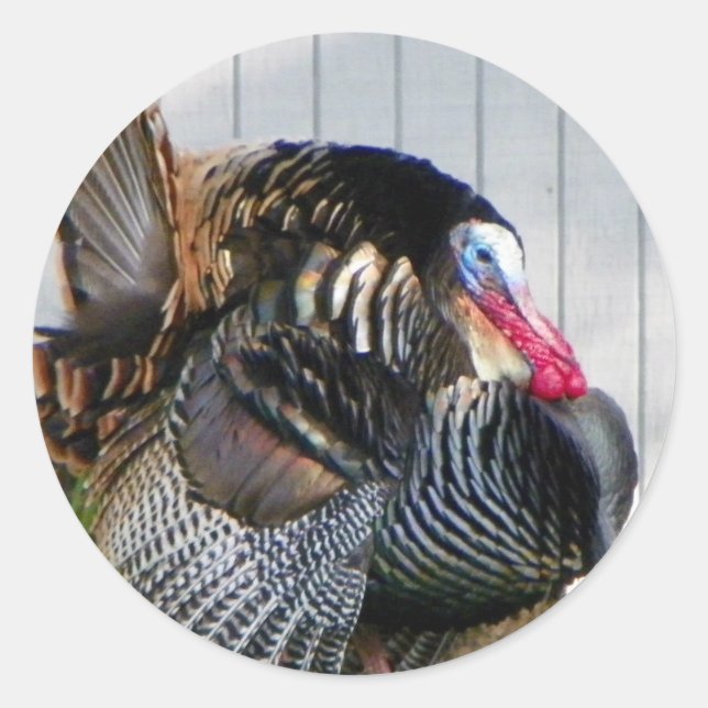 wild turkey classic round sticker (Front)