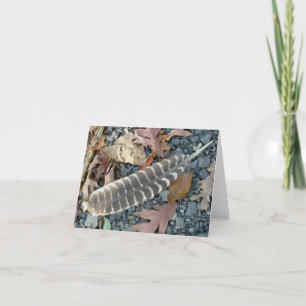 Wild Turkey Feather Note Card