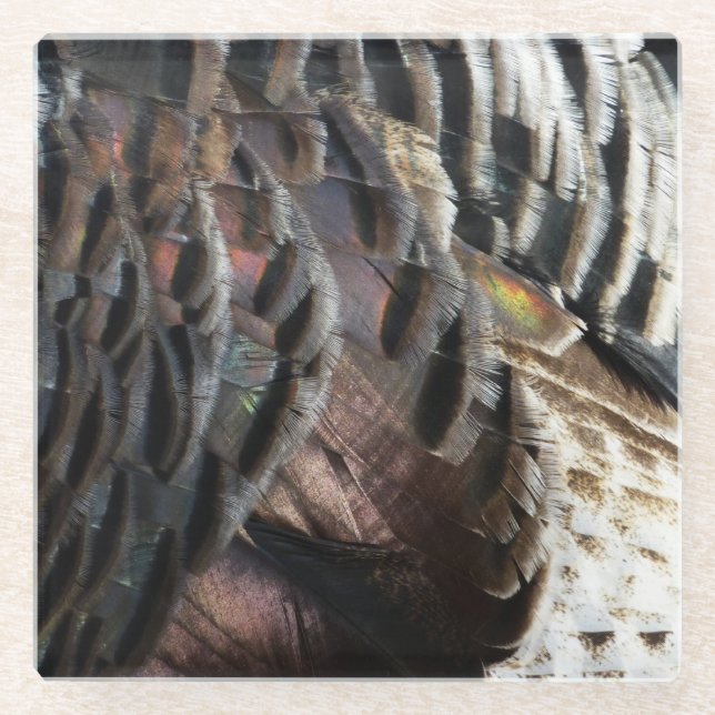 Wild Turkey Feathers I Abstract Nature Design Glass Coaster (Front)