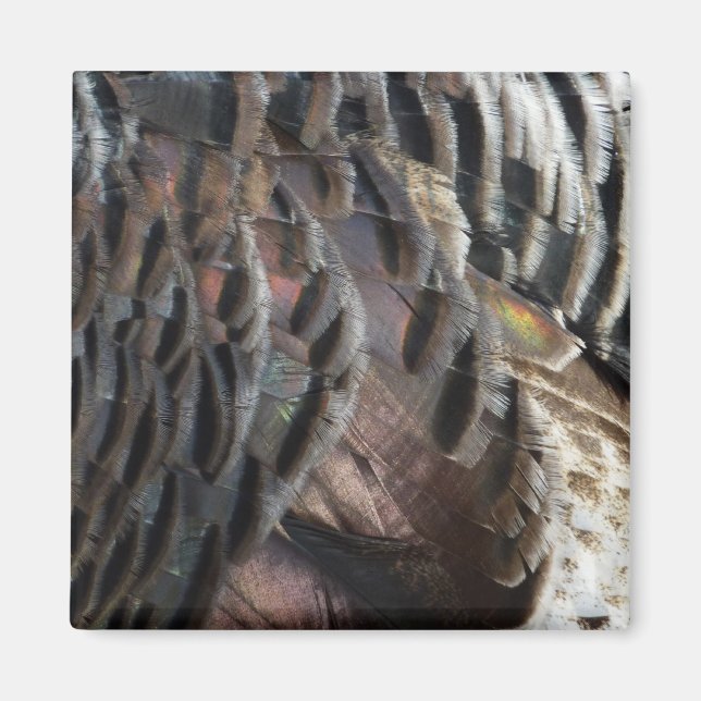 Wild Turkey Feathers I Abstract Nature Design Magnet (Front)