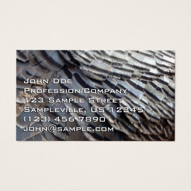 Wild Turkey Feathers II (Front)