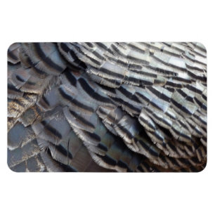 Wild Turkey Feathers II Abstract Nature Design Magnet