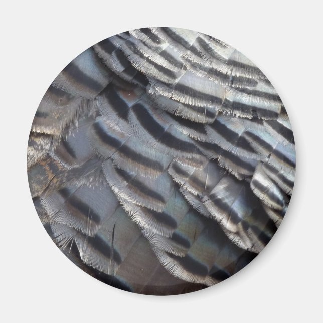 Wild Turkey Feathers II Abstract Nature Design Magnet (Front)