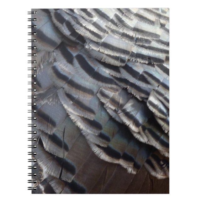 Wild Turkey Feathers II Abstract Nature Design Notebook (Front)