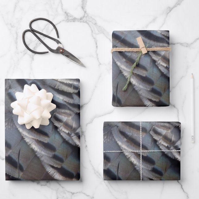 Wild Turkey Feathers II Abstract Nature Design Wrapping Paper Sheet (Front)
