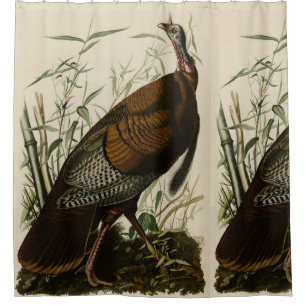 Wild Turkey from Audubon's Birds of America Shower Curtain