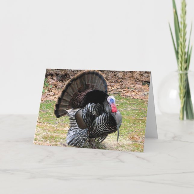 Wild Turkey Holiday Card (Front)