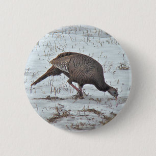 Wild Turkey in Snowy Field 6 Cm Round Badge