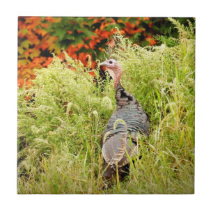 Wild Turkey in Tall Grass In Autumn Ceramic Tile