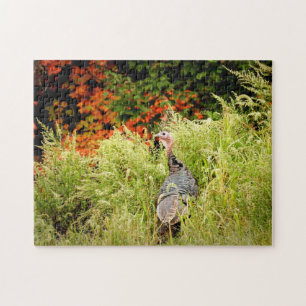 Wild Turkey in Tall Grass In Autumn Jigsaw Puzzle