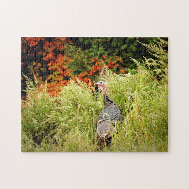 Wild Turkey in Tall Grass In Autumn Jigsaw Puzzle (Horizontal)