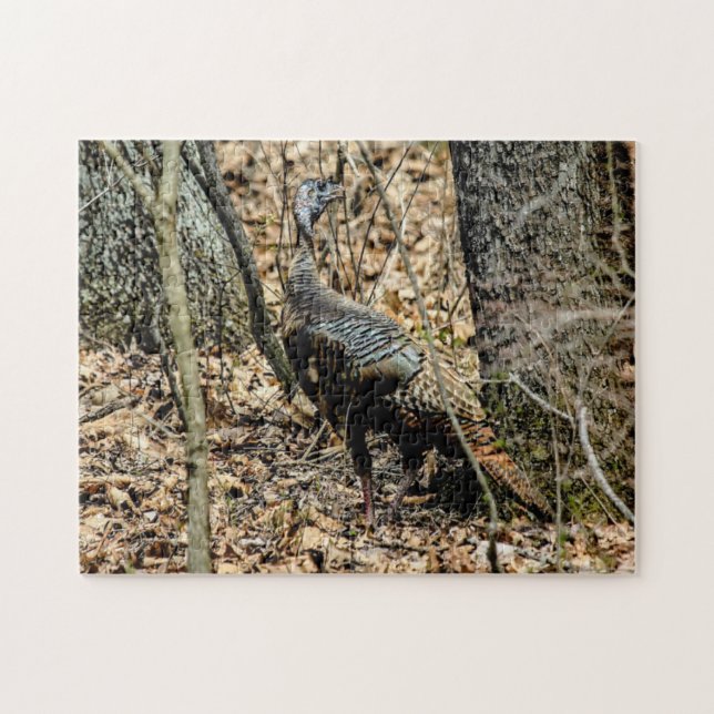 Wild Turkey in Woods Photo Puzzle with Gift Box (Horizontal)