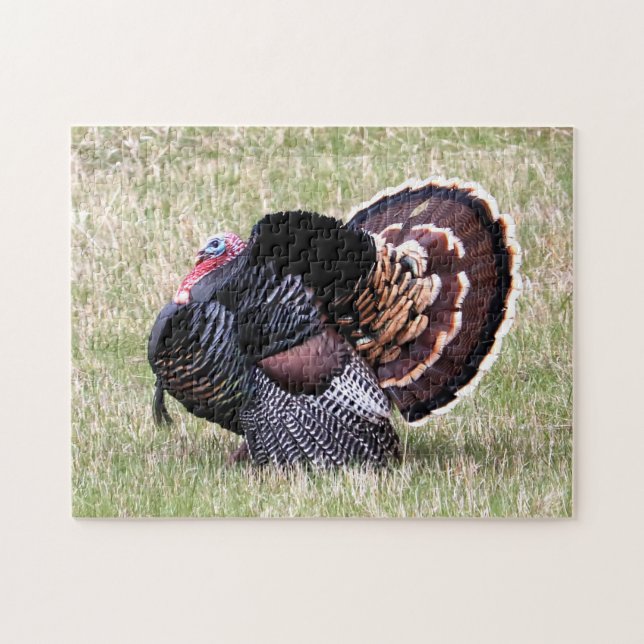 Wild Turkey Jigsaw Puzzle (Horizontal)