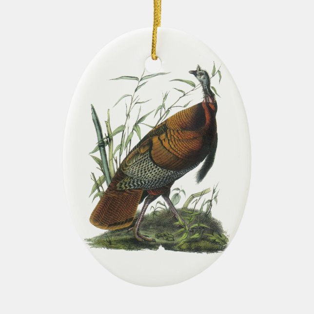 Wild Turkey, John Audubon Ceramic Tree Decoration (Front)