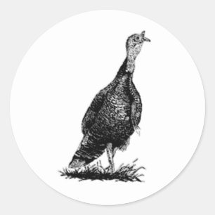Wild Turkey (line art) Classic Round Sticker