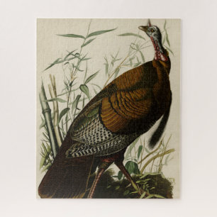 Wild Turkey (Male) from Audubon's Birds of America Jigsaw Puzzle