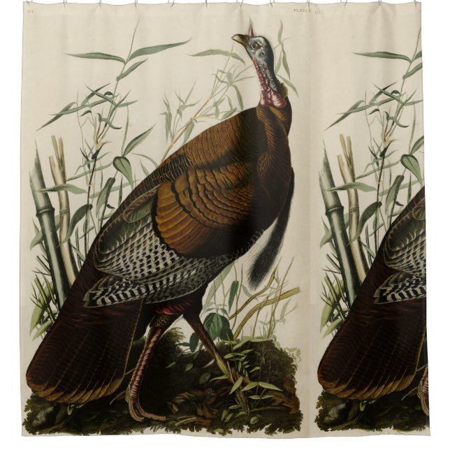 Wild Turkey (Male) from Audubon's Birds of America Shower Curtain (Front)