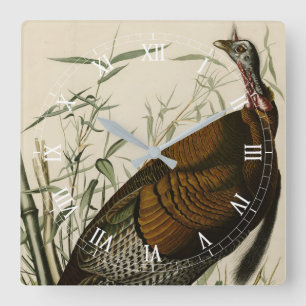 Wild Turkey (Male) from Audubon's Birds of America Square Wall Clock