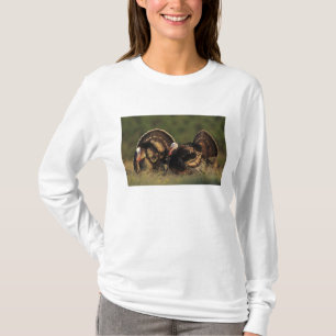Wild Turkey, Meleagris gallopavo,males T-Shirt