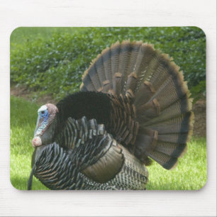 Wild Turkey Mouse Pad