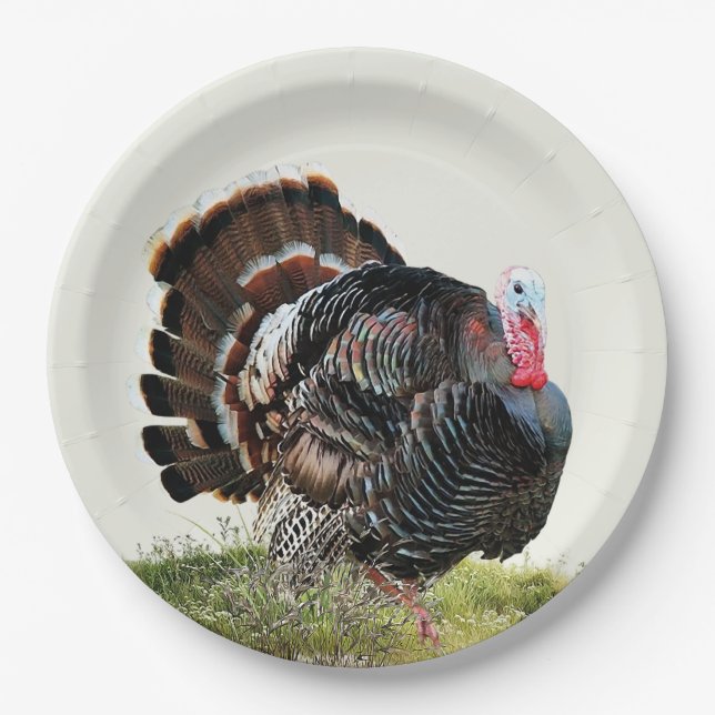Wild turkey paper plate (Front)