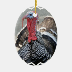 Wild Turkey Picture Ornament