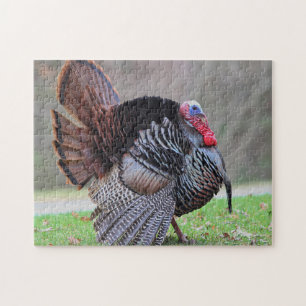 Wild turkey portrait jigsaw puzzle