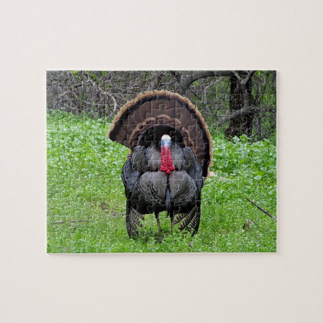 Wild Turkey Puzzle (Horizontal)