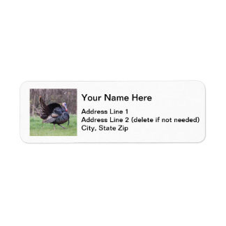 Wild Turkey Return Address Label