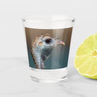 Wild Turkey Shot Glass