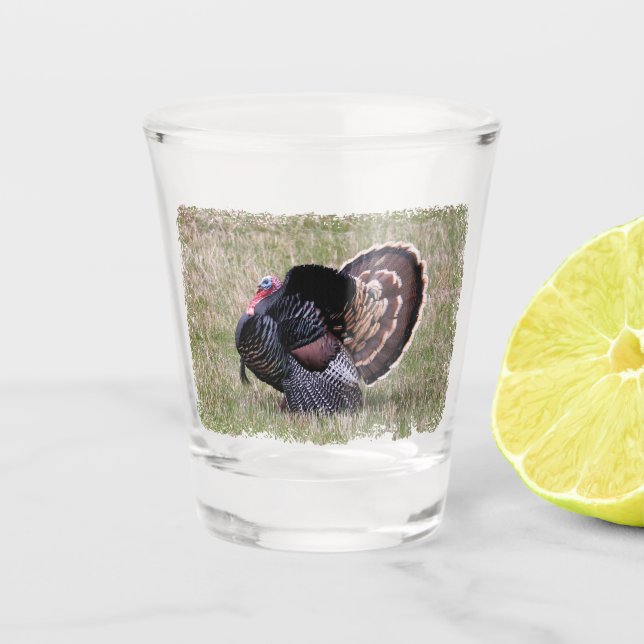 Wild Turkey Shot Glass (Front)