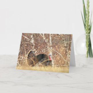 Wild Turkey Tom Note Card