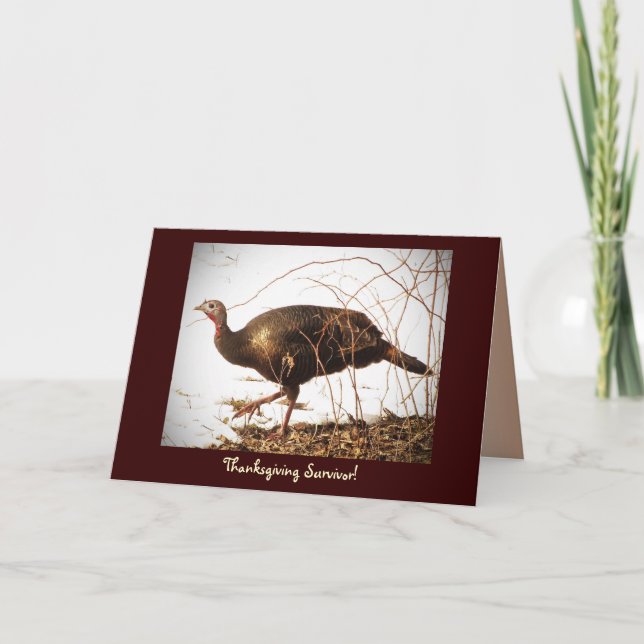 Wild Turkey Vegetarian Holiday Card (Front)