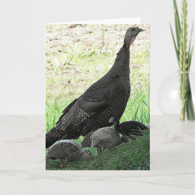 Wild Turkeys Card (Front)