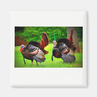 Wild Turkeys Decorated Magnet