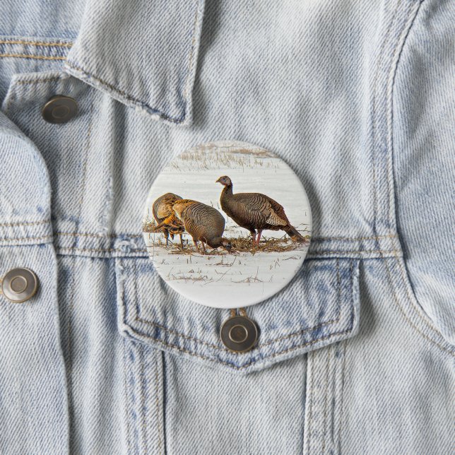 Wild Turkeys in Snow 7.5 Cm Round Badge (In Situ)