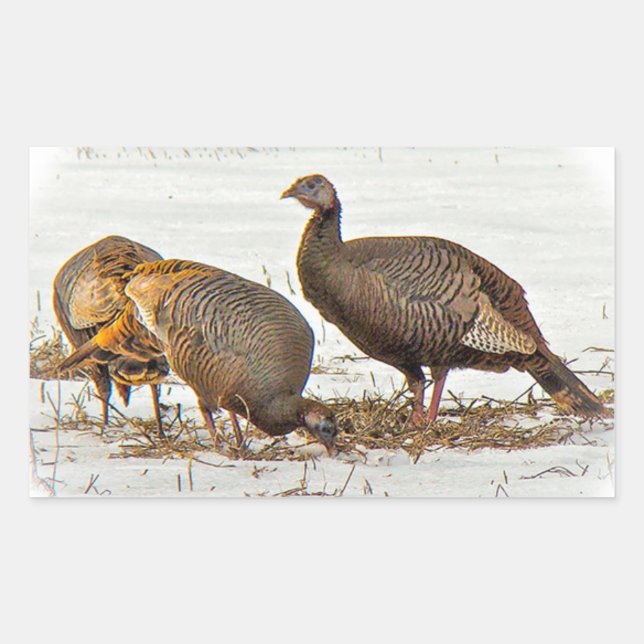 Wild Turkeys in Snow Rectangular Sticker (Front)