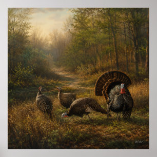 Wild Turkeys in the Autumn Forest Poster