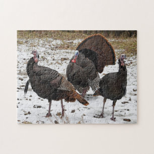 Wild Turkeys In The Snow Jigsaw Puzzle