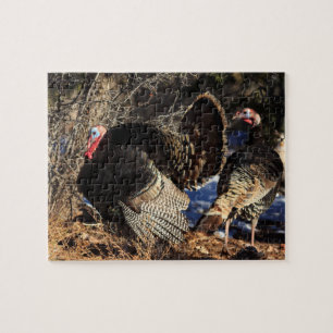 Wild Turkeys Jigsaw Puzzle