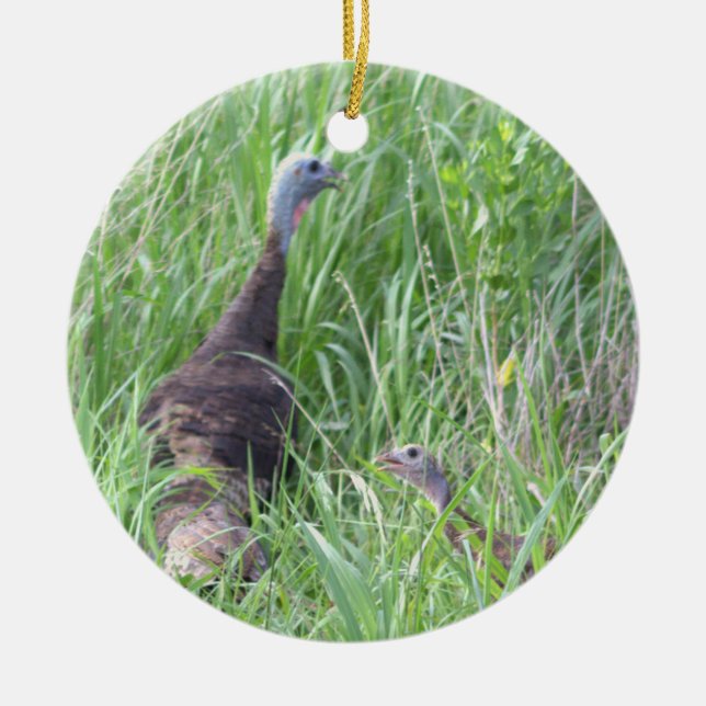 Wild Turkeys Ornament (Front)