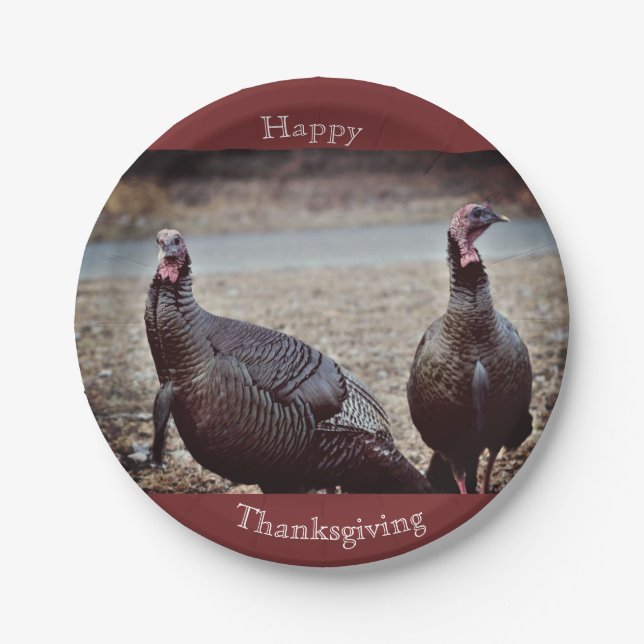 Wild Turkeys Thanksgiving Paper Plate (Front)