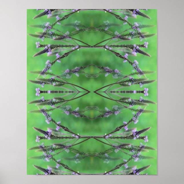 Wild Vervain Flowers Abstract Poster (Front)