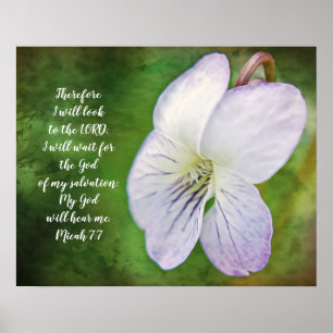Wild Violet Flower Bible Scripture Poster