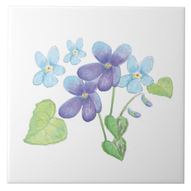 Wild Violet Flowers Illustration  Ceramic Tile (Front)